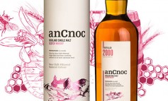 Sortie du AnCnoc 2000 : un nouveau millésime pour un nouveau millénaire